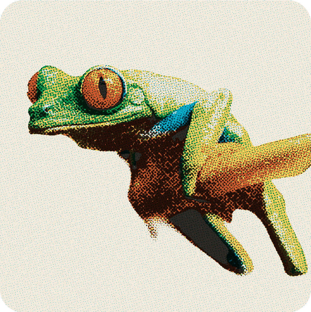 Halftone CMYK frog